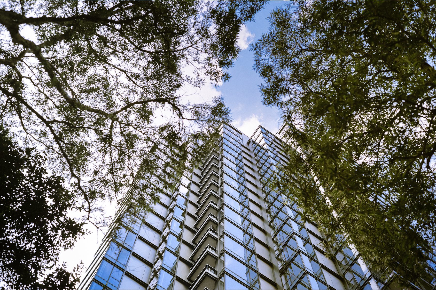 The Development Studio - 33 Kennedy Road